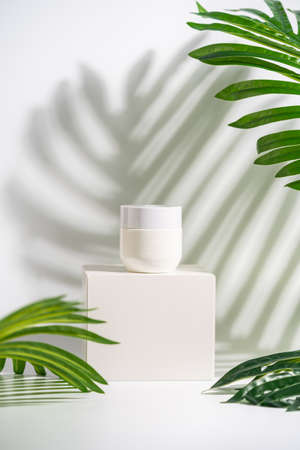 Jar of cosmetic cream on podium over white background with palm leaves in sunlight. bright shadows. Minimal style cosmetics templateの写真素材