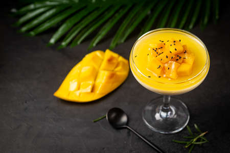 Italian dessert panna cotta with mango in glass over dark backgroundの写真素材