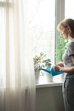 woman is taking care of houseplants near the window. watering and spraying with water.