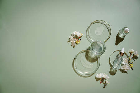Different glass bottles with serum or oil on green background. Trending shadow. Cosmetic mockup. Top view with copy space. Flat lay.の写真素材