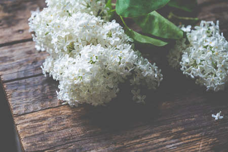 White Lilac flowers bouquet against dark wooden backgroundの写真素材