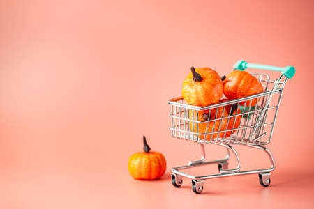 Seasonal mini pumpkins vegetable in shopping cart on pink background. Autumn harvest festival....