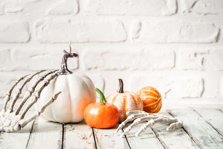 Thanksgiving or Halloween autumn decorations with heirloom mini white and orange pumpkins against a rustic white autumn background.の写真素材