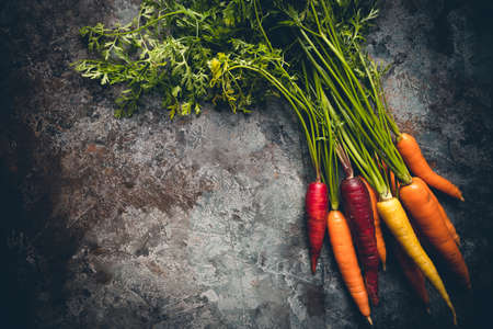 Colorful Rainbow carrot with their green leaves on gray stone background, top viewの写真素材
