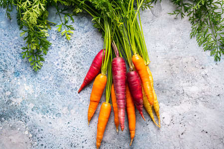Colorful Rainbow carrot with their green leaves on light blue background, top viewの写真素材