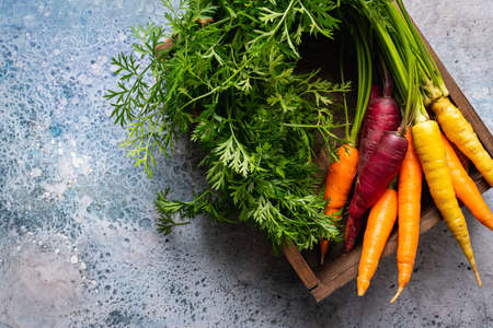 Colorful Rainbow carrot with their green leaves on light blue background, top viewの写真素材