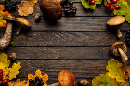 Boletus mushrooms with autumn oak leaves over wooden background. Top view autumn background