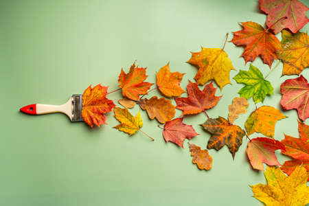Creative Top view flat lay autumn concept composition. Paint brush painting by dried bright autumn leaves over green paper background.の写真素材