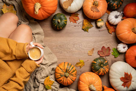 autumn background with woman sitting between pumpkins, top viewの写真素材