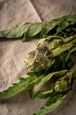 fresh baby artichoke with leaves on rustic textile backgroundの写真素材
