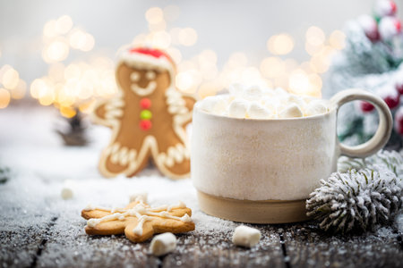 Christmas decorations on snow with cup of hot chocolate, gingerbread, fir tree branches and christmas lights. Winter Decoration Backgroundの写真素材