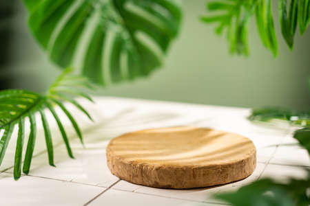 Cosmetics product advertising stand. Exhibition wooden podium on green background with palm leaves and shadows. Empty pedestal to display product packaging. Mockupの写真素材