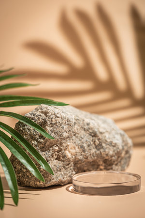 Creative concrete stone and round glass platform podium for cosmetics or products with shadowes of greens branches on beige background. Front viewの写真素材
