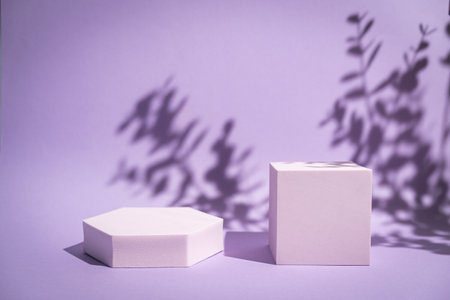 Abstract minimalistic scene with geometric forms. podium on purple background with shadows. product presentation, mock up, show cosmetic product display, Podium, stage pedestal or platform.の写真素材