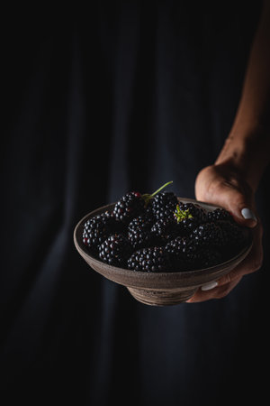 Ripe blackberries with leavesの写真素材