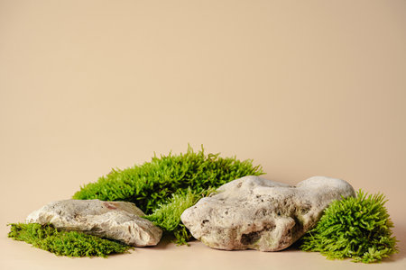 Abstract podium for cosmeticの写真素材