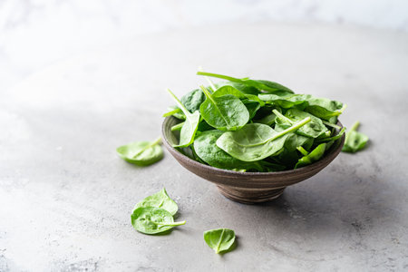 Fresh spinach leavesの写真素材