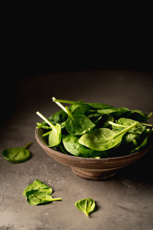 Fresh spinach leavesの写真素材