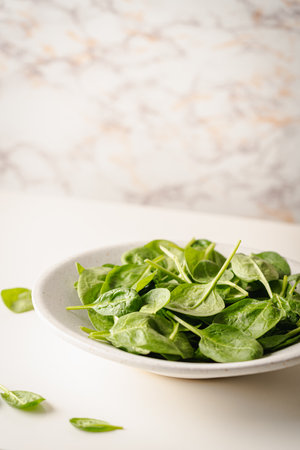 Fresh spinach leavesの写真素材