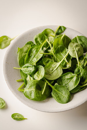 Fresh spinach leavesの写真素材
