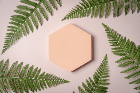 Decorative plaster podiumsの写真素材