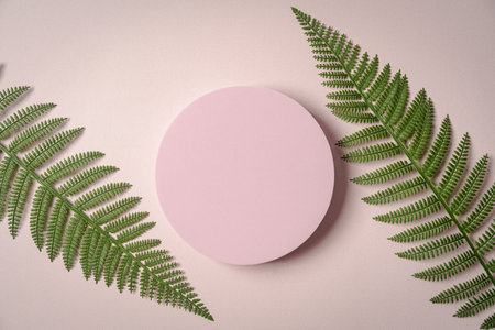 Decorative plaster podiumsの写真素材