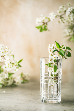 flowering cherry branchesの写真素材