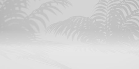 Abstract white studio background for product presentation. Empty room with shadows of palm leaves 3d...