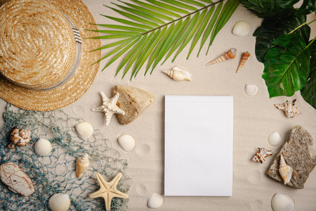 Sea sand with starfish and seashellsの写真素材