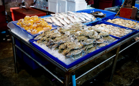 Fresh chilled raw crabsの写真素材