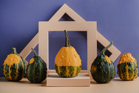 Different types of pumpkinsの写真素材