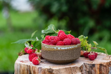 Bowl of ripe raspberriesの写真素材