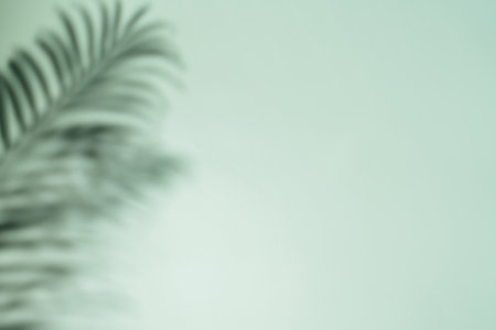 Palm leaf on a green surface with shadow. Stylish background for presentation.