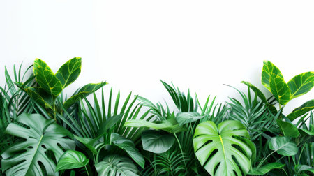 Assorted Tropical Green Leaves on White, A lush arrangement of various tropical green leaves, offering a natural and vibrant aesthetic on a white background. isolated on whiteの素材