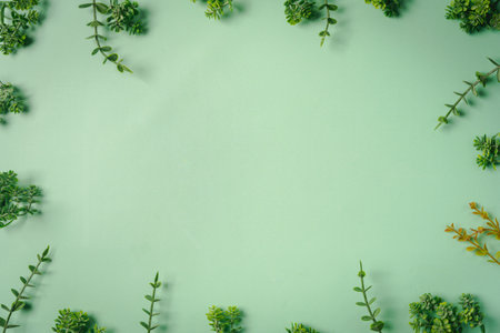 frame made of eucalyptus branches on green background. Flat lay, top view. copy spaceの写真素材