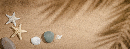 Flat lay composition with beautiful starfishes, stones and sea shells on sand with palm leaves and shadowes top view, space for text, web bannerの写真素材