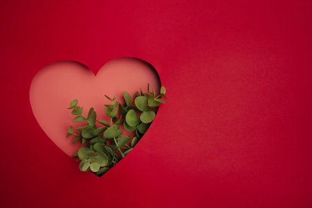 Red Heart On Red Paper Background For Happy San Valentine Day. Valentines Day festive banner with ribbons and flowersの写真素材