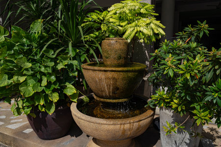 Plants and flowers wall of sky garden in a Tropical Botanical Garden, Thailandの写真素材
