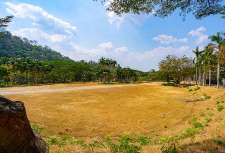 Beautiful area near the lake in the open zoo Thailand. Tropical forest