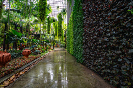 Plants and flowers wall of sky garden in a Tropical Botanical Garden, Thailand