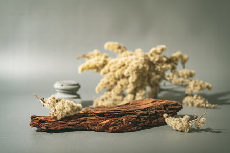 Background for product presentation.の写真素材