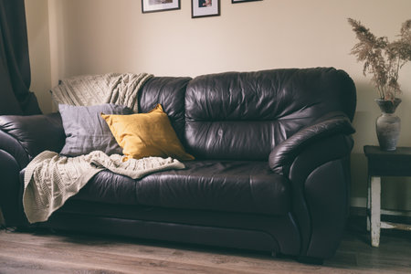 brown leather couchの写真素材