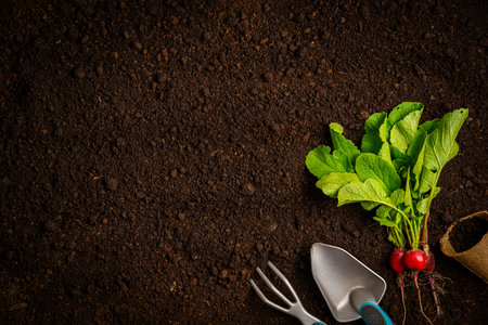 Garden tools and plantsの写真素材