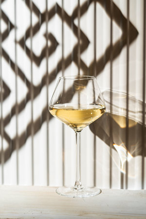 A glass of white wineの写真素材