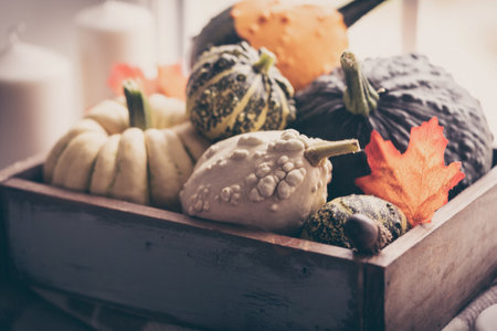 Cozy fall composition.