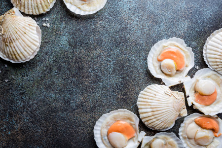 raw fresh scallops
