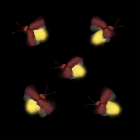 firefly isolated on a black background. For your design.