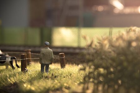 minifiguresの写真素材