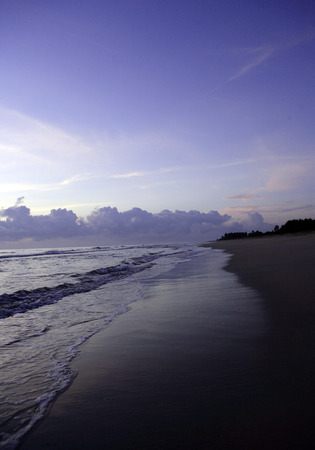 sandy costの写真素材