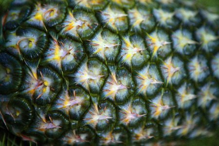 pinapple close upの写真素材